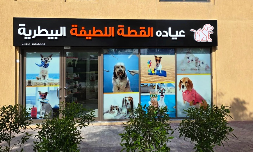 Image 3: Fresh & Fluffy Pet Grooming – Full Grooming With Haircut (Cats & Dogs)