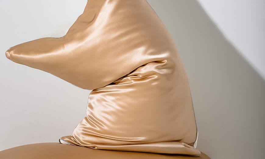 Image 9: 21 Momme Pure Silk Hotel Grade Pillowcase Pair