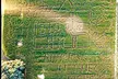 Get Admission to Flashlight Corn Maze Experience with Cider Included - Up to  28% Off At Westhaven Farm - Second Medium