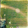 Image 3: Explore Westhaven Farm's Nighttime Corn Maze & Enjoy Cider 