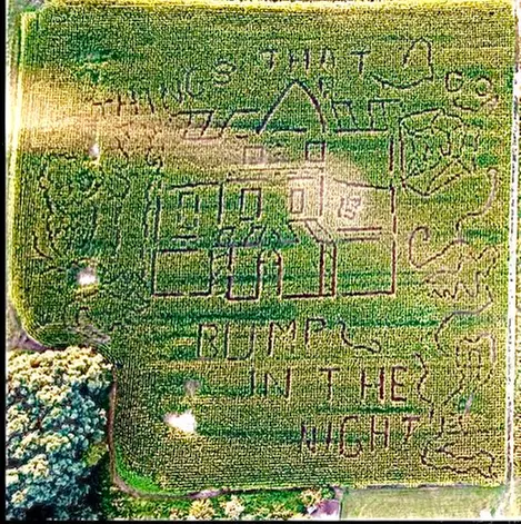 Admission to Flashlight Corn Maze Experience with Cider Up to 6