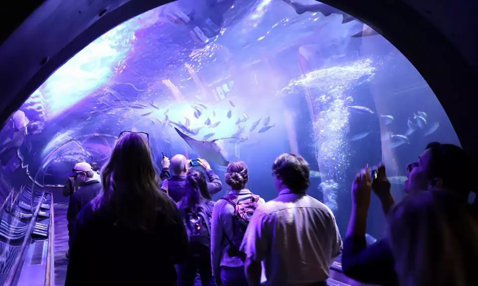 Tickets to San Francisco Pier 39 Aquarium of the Bay