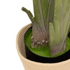 Image 20: Plantas artificiales decorativas en diferentes diseños