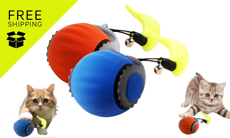 Image 1: Automatic Moving Cat Toy Ball: 1Pcs; FREE SHIPPING