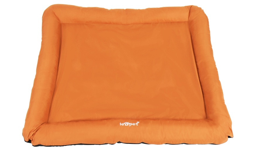 Image 30: Large Flat Dog Beds