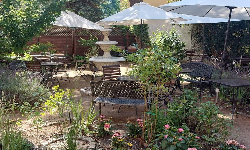 Image 5: Gehobenes europäisches 3-Gänge-Menü & Weinbegleitung für 2-4 Personen