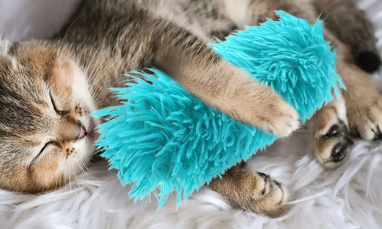 Four-Pc ItBelongs2U Plush Catnip Cat Toys Crinkle Sound Cat Pillows Kicker Toys