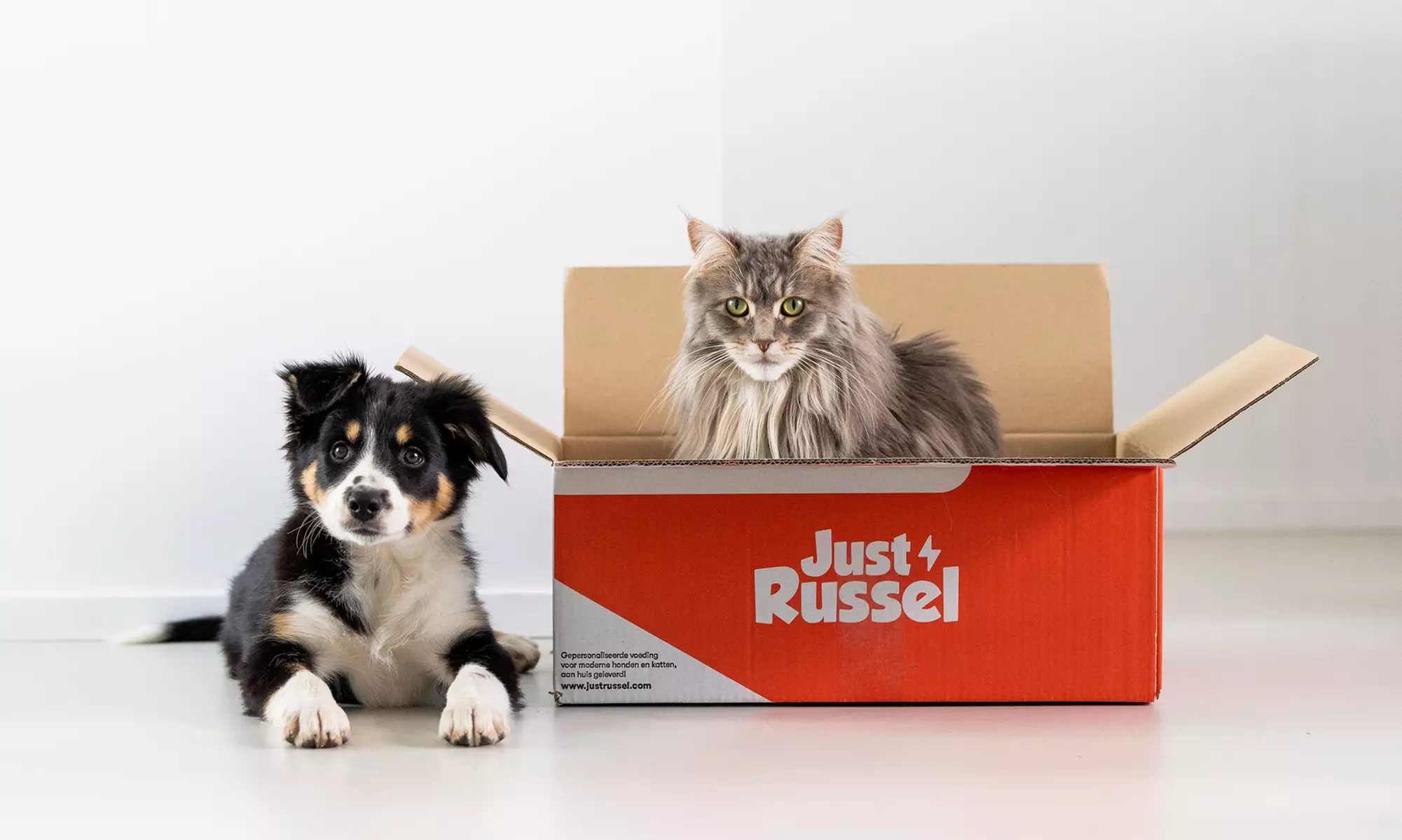 40 % Rabatt auf personalisiertes Tierfutter