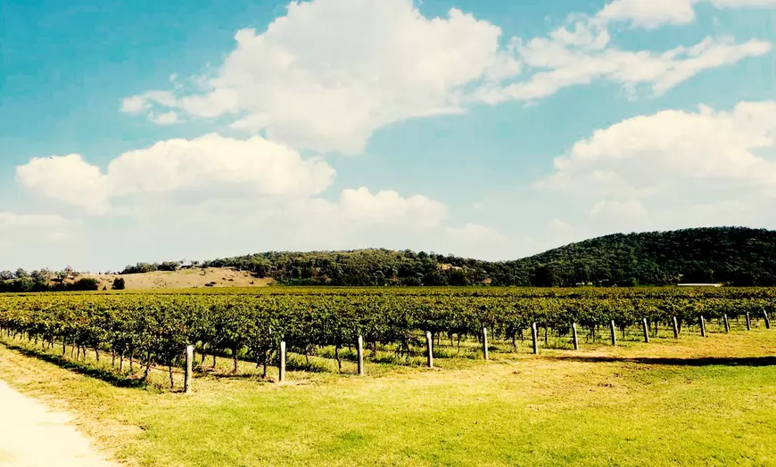 Image 5: Dive Into Flavours with Wine or Reserve Wine Tasting in Hunter Valley!