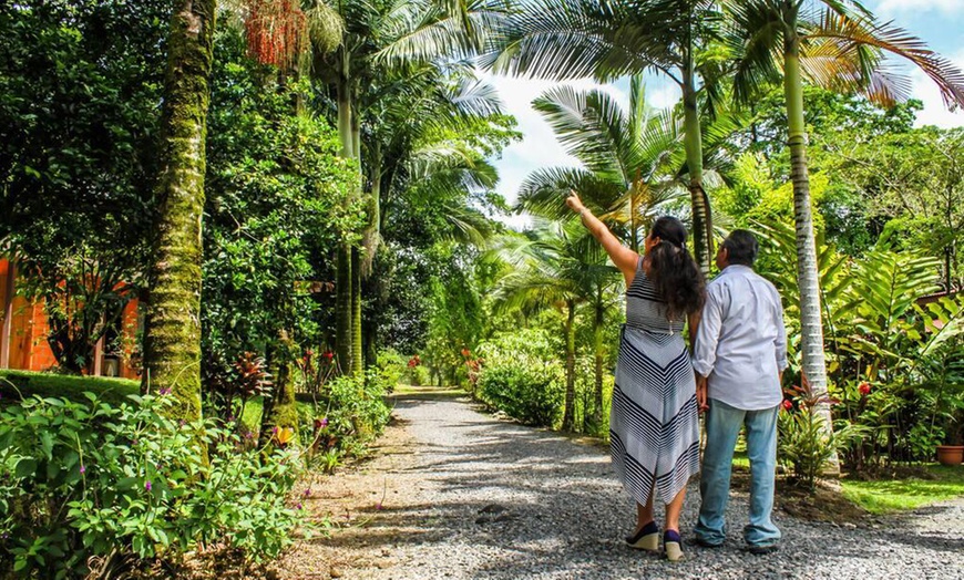 Image 17: ✈ 6-Night Costa Rica Volcano & Beach Trip with Air from Travel By Jen