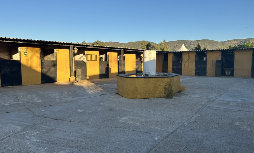 Image 4: Clases de iniciación a la equitación con casco, para niños y adultos