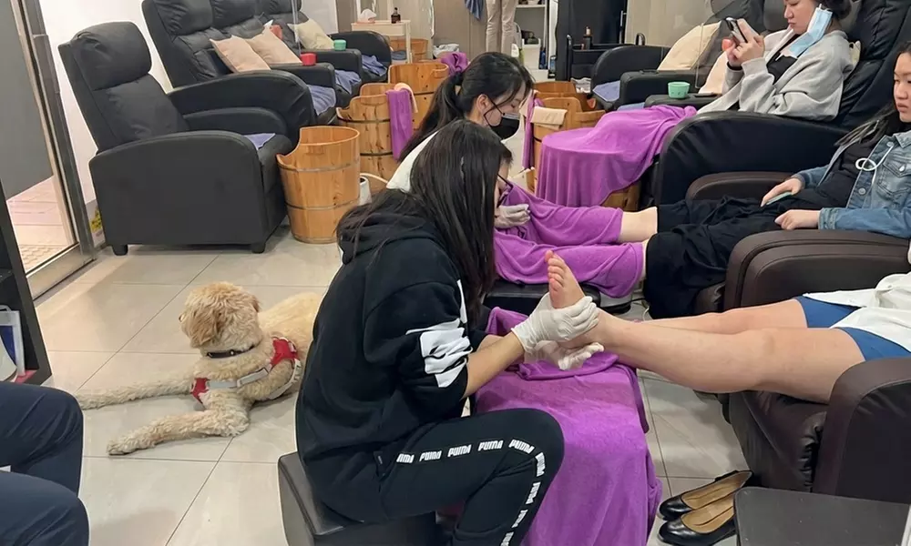 Authentic Tibetan Herbal Steam Foot Care & Wellness Experience