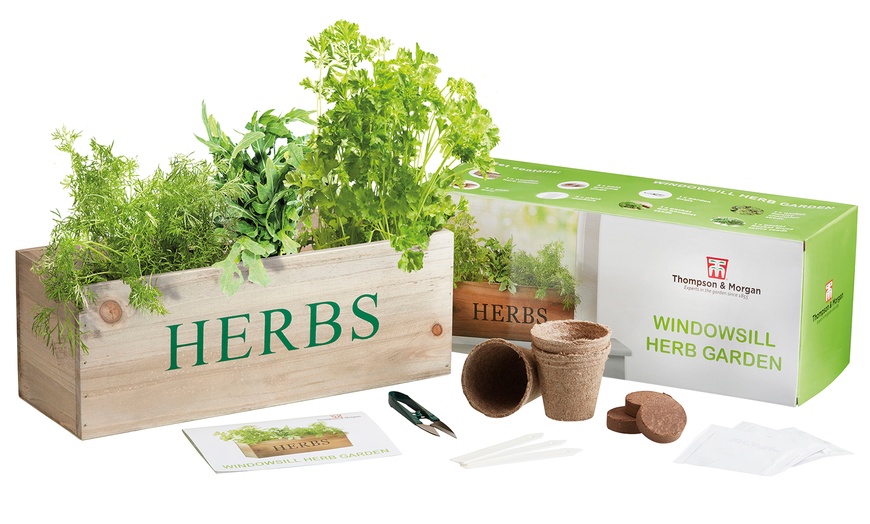 Image 4: Herb Gift Set