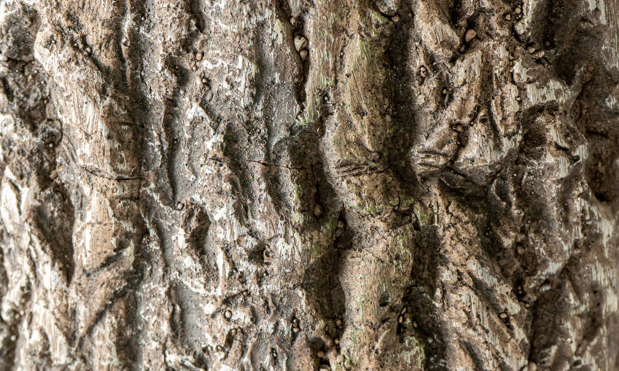 Base tronco decorativa per albero di Natale