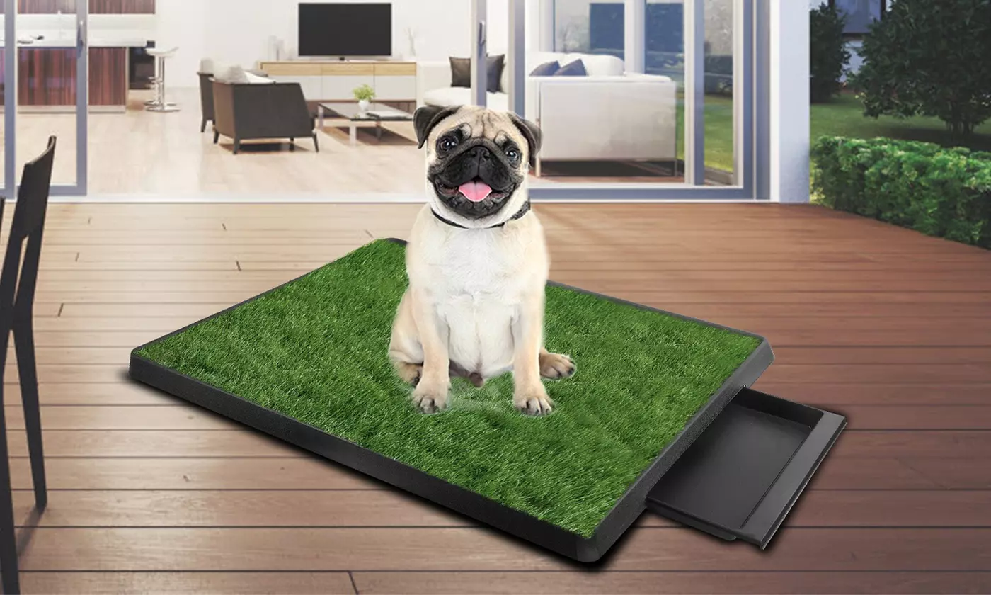 iMounTEK Pet Portable Indoor or Outdoor Potty - Primary Image