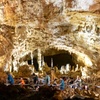 Image 6: Natural Bridge Caverns Tours