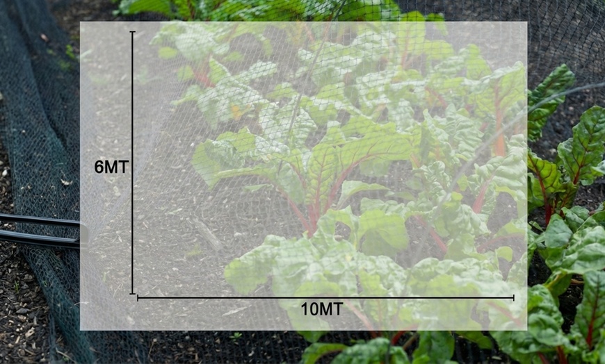 Image 5: Rotolo rete antigrandine