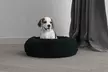 Rundes Haustierbett „DREAMS“ mit erhöhtem Rand in der Farbe nach Wahl - Second Medium