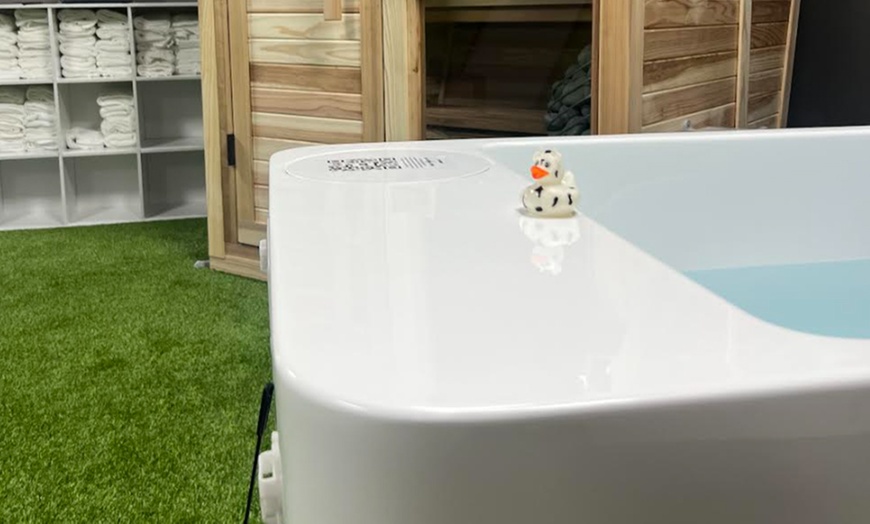 Image 6: 45-Minute Cold Plunge, Sauna and Red Light Therapy Sessions 