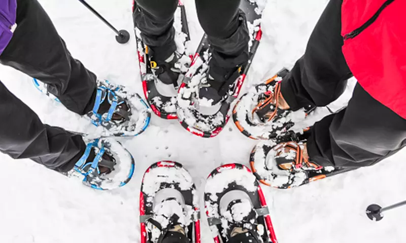 Excursión con raquetas por la nieve de 3 h para 1 o 2 personas, con hasta un 45% de descuento - Second Medium