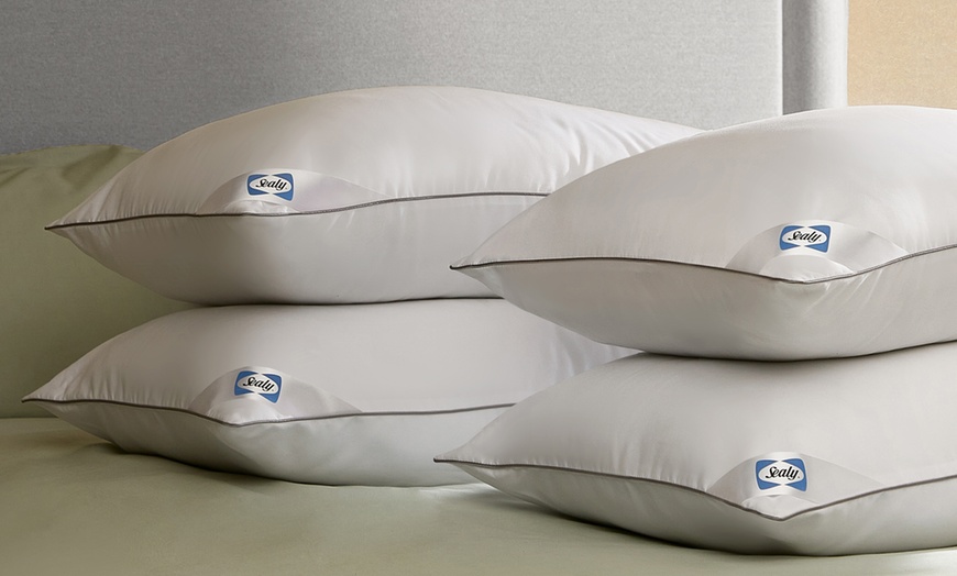 Image 6: Sealy Luxury Anti Allergy Pillows or Mattress Topper