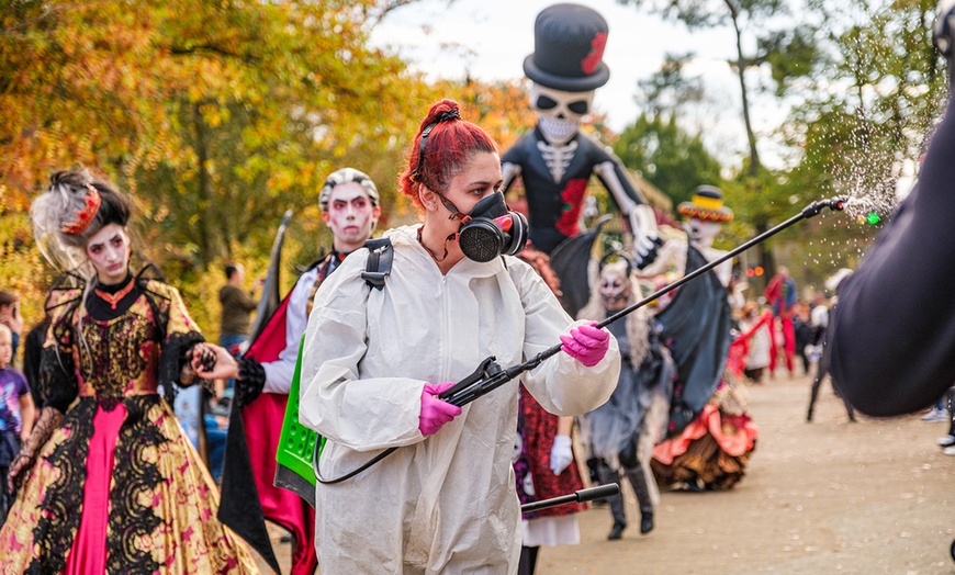 Image 7: Un Halloween palpipant : maisons hantées et spectacles à Bobbejaanland