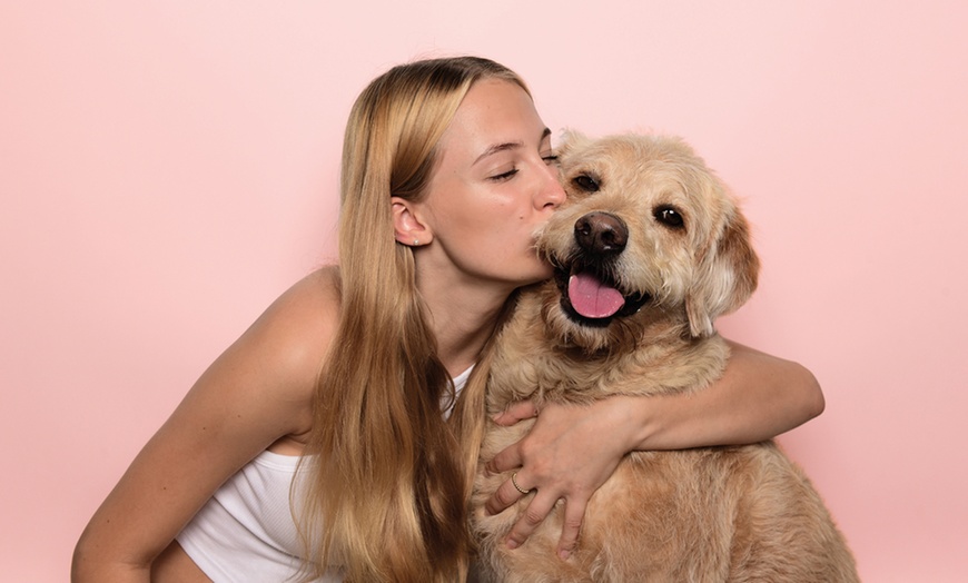 Image 5: Sommer-Special: Fotoshooting inkl. Bildern