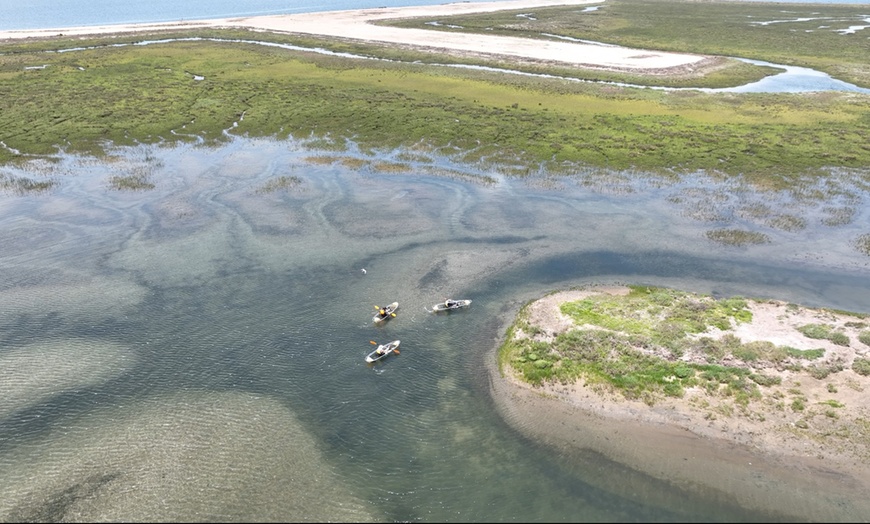 Image 4: Crystal Clear Kayak 2 Hour Guided Tour