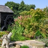 Image 7: Ticket to BBC Gardeners’ World Autumn Fair | August 30 & 31