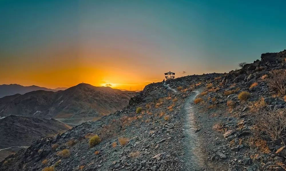 Giant Swing Experience at Fujairah Adventure Park