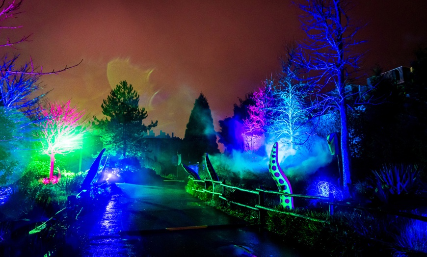 Image 11: Ontdek de dieren van de zee en neem zelf een duik in het Dolfinarium
