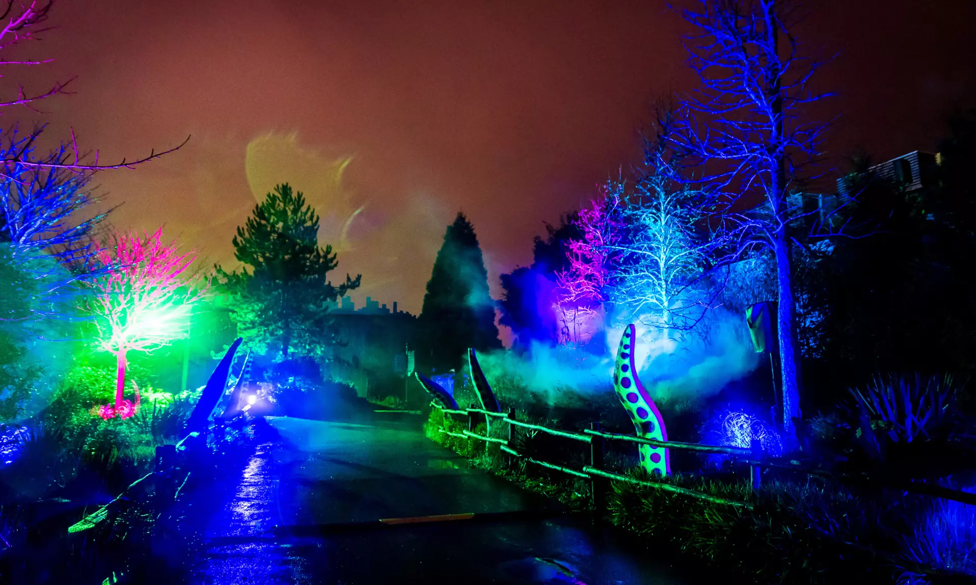 Einrittskarte "Dolfinarium" in Harderwijk, Niederlande für 1 Person