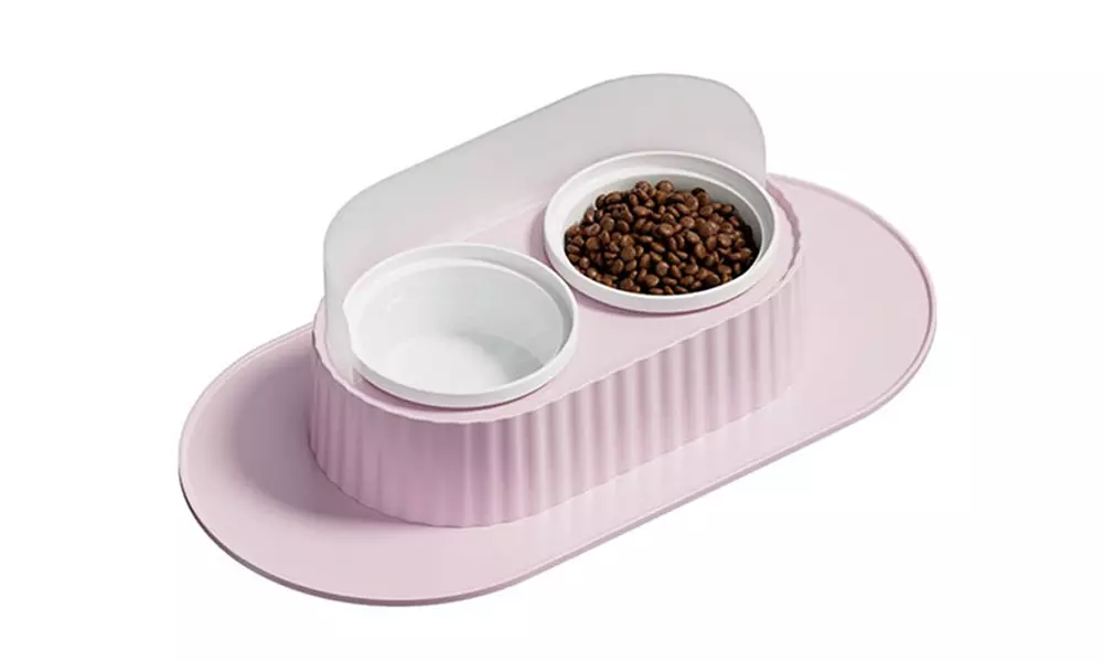 Ceramic Double Pet Bowl Set with Elevated Stand and Non-Slip Mat 350ml