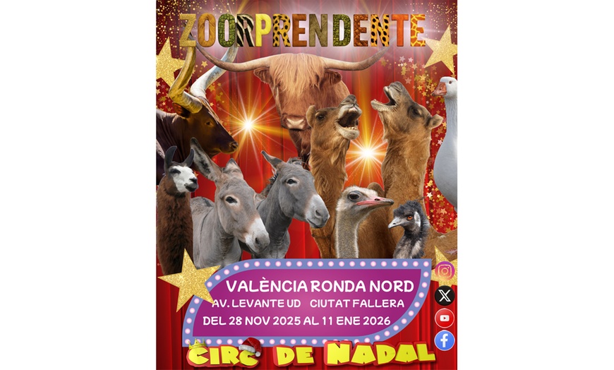 Image 6: Circ de Nadal K-Pop: entrada general en diciembre y enero en Valencia