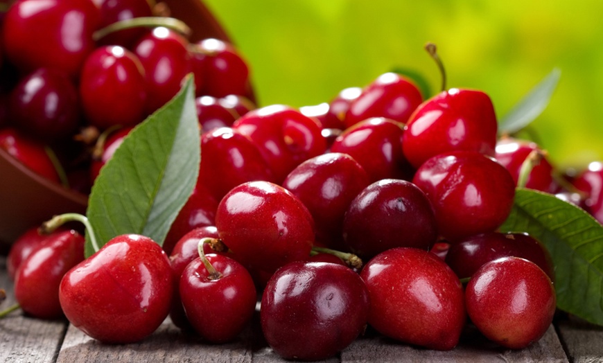 Image 4: Orchard Fruit Tree Collection - 5 Potted Plants