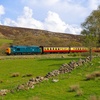 Image 7: North Yorkshire Moors Railway Day Rover Tickets: Up to 51% Off