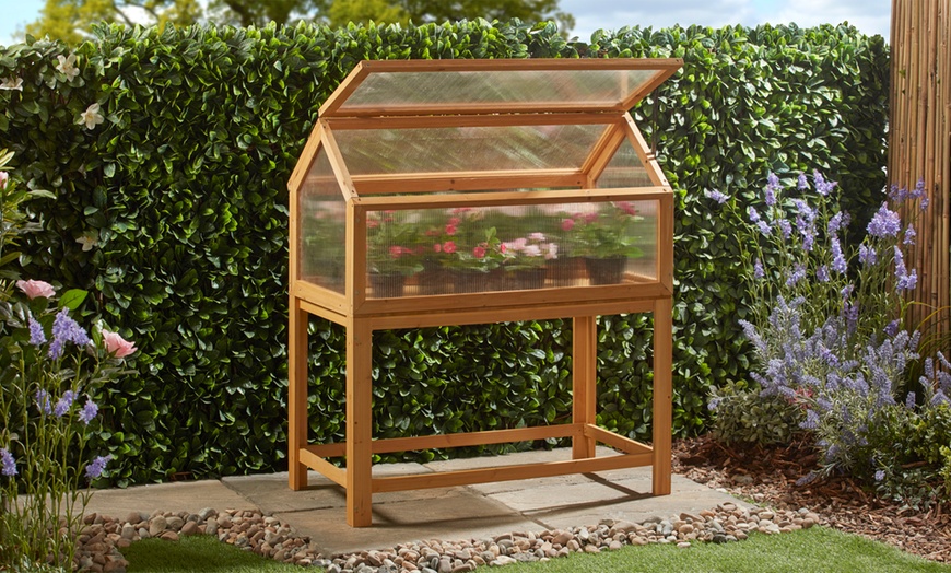 Image 22: Garden Grow Raised Wooden Cold Frame