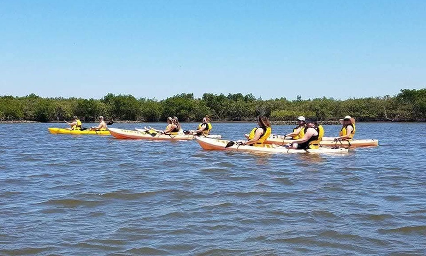 Image 4: Guided Kayak Tours for Wildlife & Nature Exploration in Daytona Beach