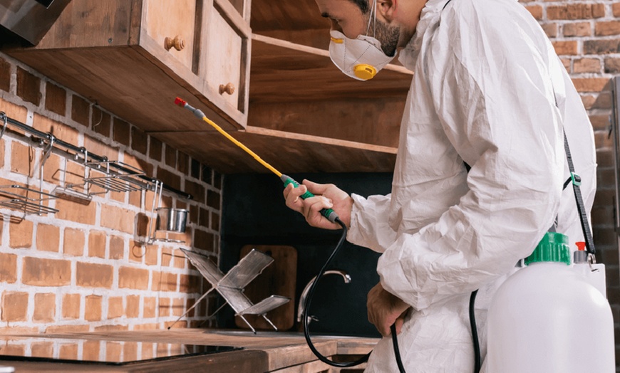 Image 1: End of Lease Pest, Targeted Rodent Control / Full Pest Control Package