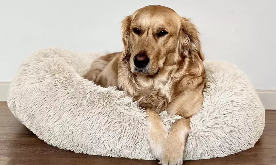 Cuccia extra-soffice per gatti e cani