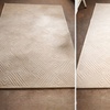 Image 3: Carpet Cleaning for Two, Three, Four or Five or Upholstery/ Pet Spot 