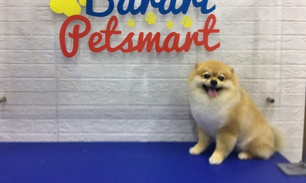 Cat Or Small Dog Washing Only - Barari Petsmart pet grooming
