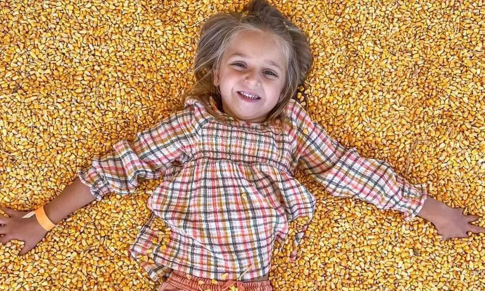 Family Fun Package at the Farm with Hayride, Corn Maze, Games & More