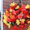 Image 2: Up to 72 Mixed Begonia Plug Plants