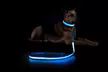 Safety Luminous LED Dog Light Up Collar Night Glow Adjustable Collar with Leash - Second Medium