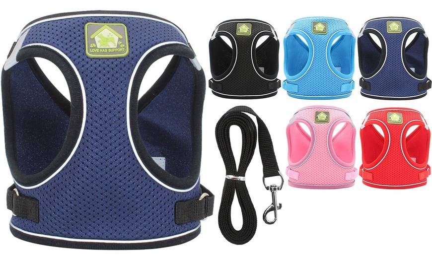 Image 3: Breathable Mesh Step-In Harness and Leash Set for Small Dogs