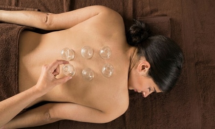 One back cupping session with body vibration plus assessment consultation and plan; Merchant may collect additional fees - CT Body Contouring