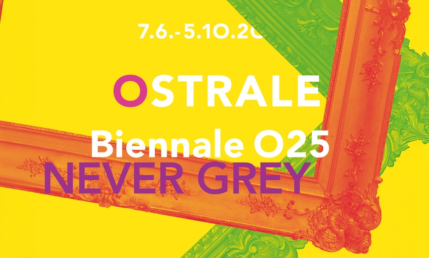 Image 1: Ticket für die OSTRALE Biennale 2025 "NEVER GREY" in Dresden