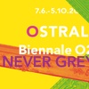 Image 1: Ticket für die OSTRALE Biennale 2025 "NEVER GREY" in Dresden