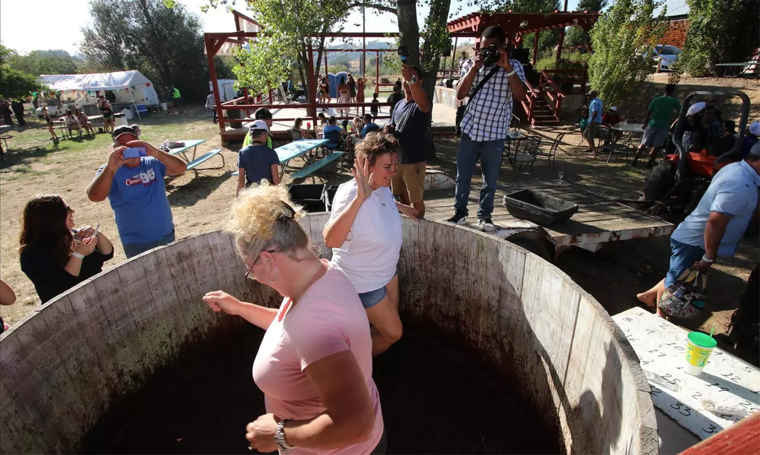 Ticket to Julian Grape Stomp Festa (Up to 25% Off) - Second Medium
